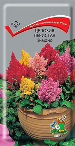 Семена целозия перистая Кимоно ПОИСК 0,1 г